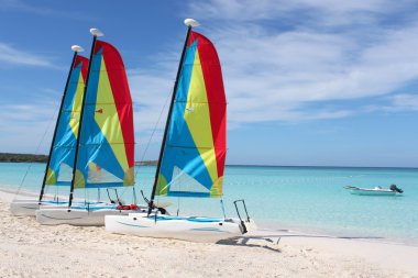 Tropical beach sailboats clipart