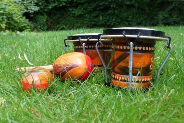 Bongos and maracas on grass clipart