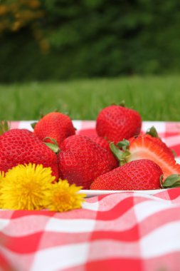 Strawberry picnic clipart