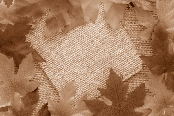 Sepia leaf background — Stock Photo, Image