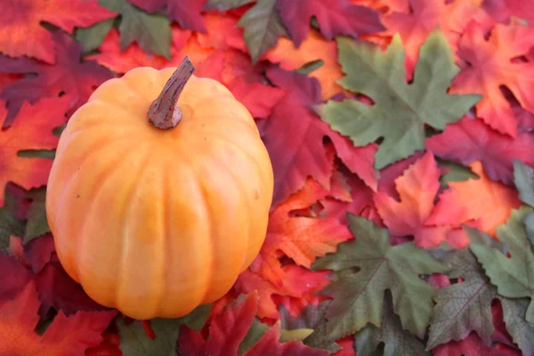 Jesienią liście i dyni — Zdjęcie stockowe