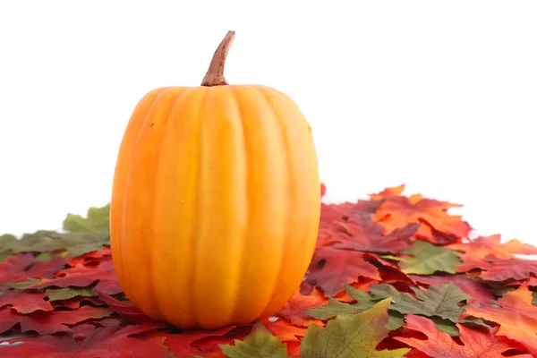 Fall leaves and pumpkin — Stock Photo, Image