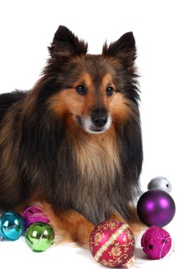 Christmas dog clipart