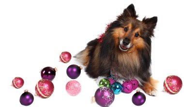 Christmas dog clipart