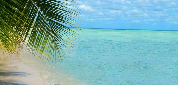 Tropikalne tło plaży — Zdjęcie stockowe