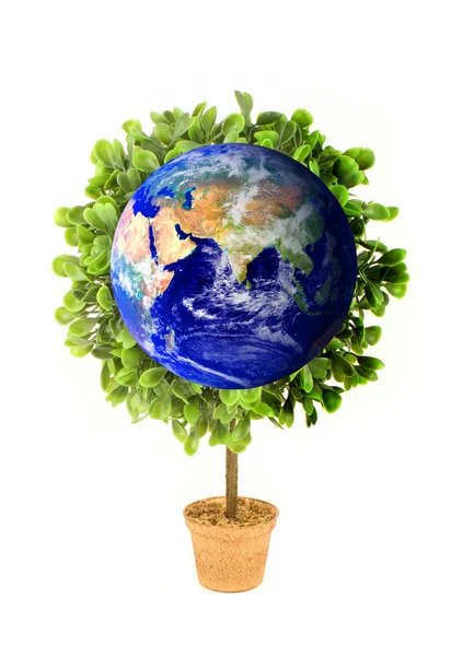 Planeta ziemia eco roślin — Zdjęcie stockowe
