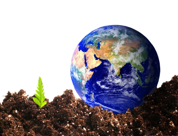 Terra Ecologial — Fotografia de Stock