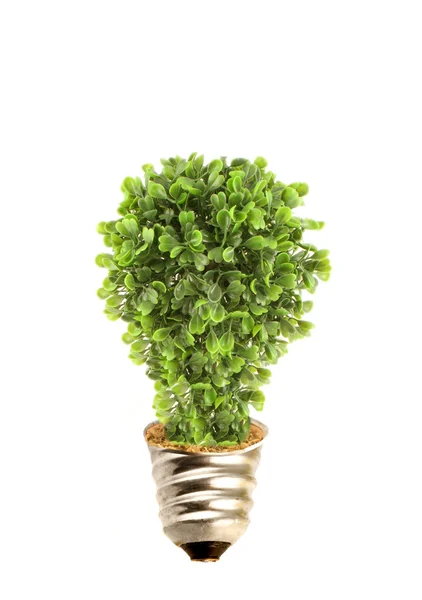 Eco tree lightbulb — Stock Photo, Image