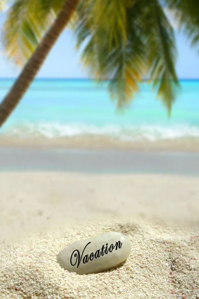 Vacaciones tropicales — Foto de Stock