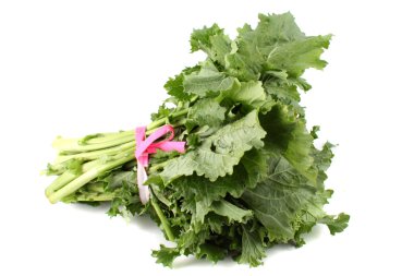 Green rapini clipart