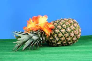 Hawaiian pineapple clipart
