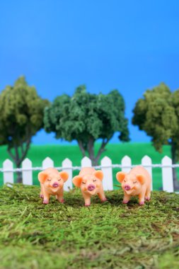 Three little pigs clipart