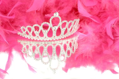 Tiara and boa clipart