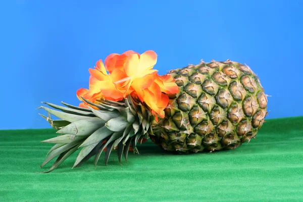 stock image Hawaiian pineapple