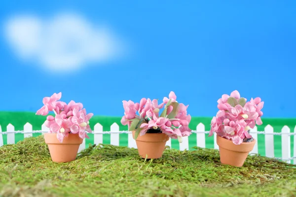 Frühlingsblumen-Miniaturen — Stockfoto