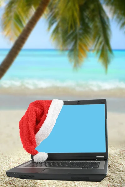 Tropikalny Boże Narodzenie laptopa — Zdjęcie stockowe
