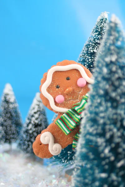 Peaking gingebread man — Stock Photo, Image