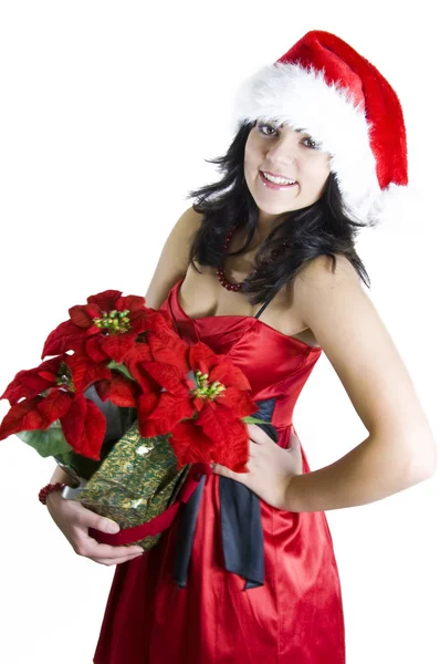 Dospívající dívka santa s vánoční hvězda květina — Stock fotografie