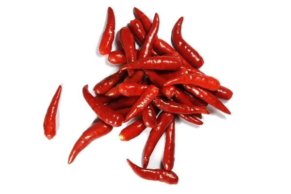 Würzige rote Chilischote — Stockfoto