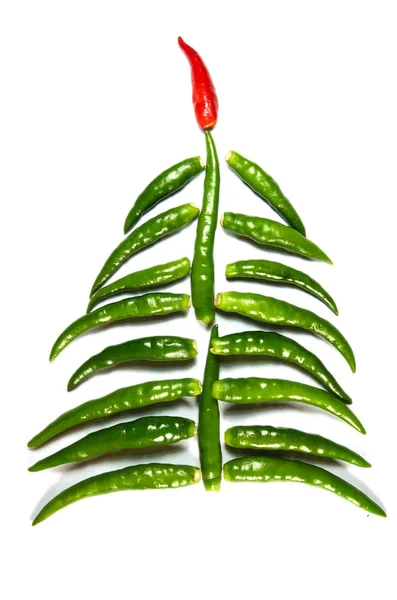 新的一年红辣椒树 — 图库照片