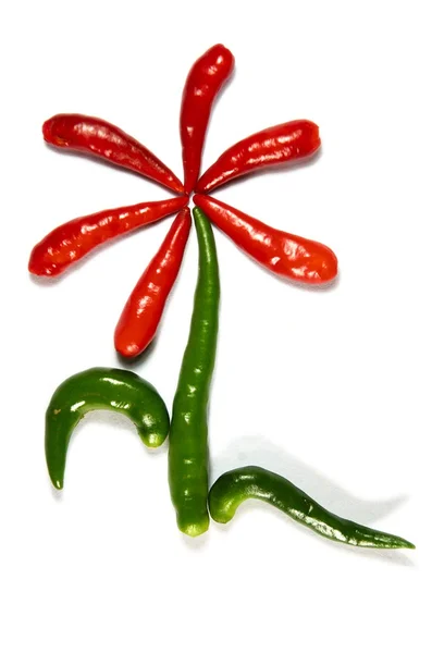 Bloem van chili peper — Stockfoto
