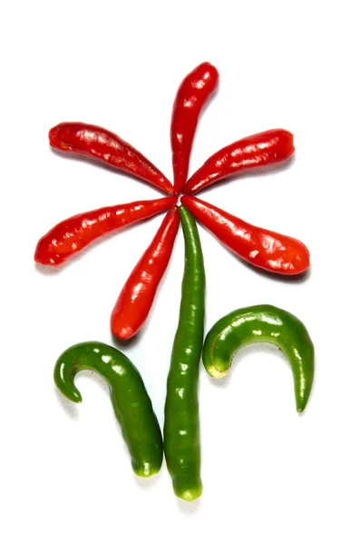 Flor de chile —  Fotos de Stock