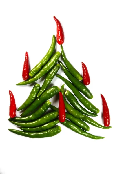 Chili Neujahrsbaum — Stockfoto