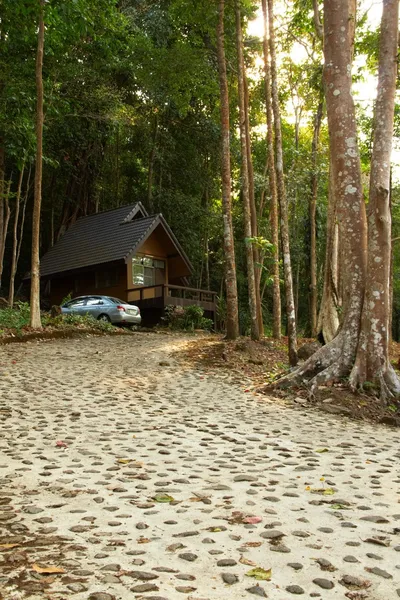 Μπανγκαλόου μέσα στο τροπικό δάσος. — Φωτογραφία Αρχείου