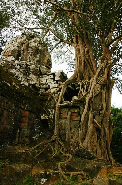 Руины древнего камбоджийского храма — стоковое фото