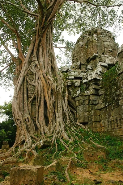 Vede starobylý kambodžský chrám — Stock fotografie