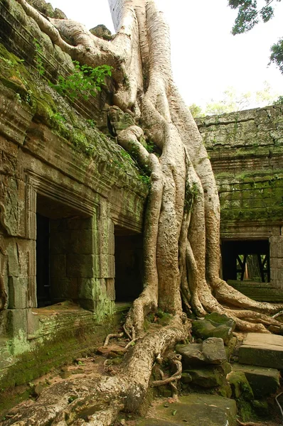 Funciones del antiguo templo camboyano —  Fotos de Stock