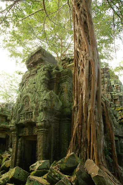 Funciones del antiguo templo camboyano —  Fotos de Stock