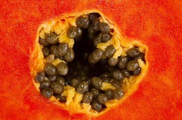 Łagodny papaja — Zdjęcie stockowe