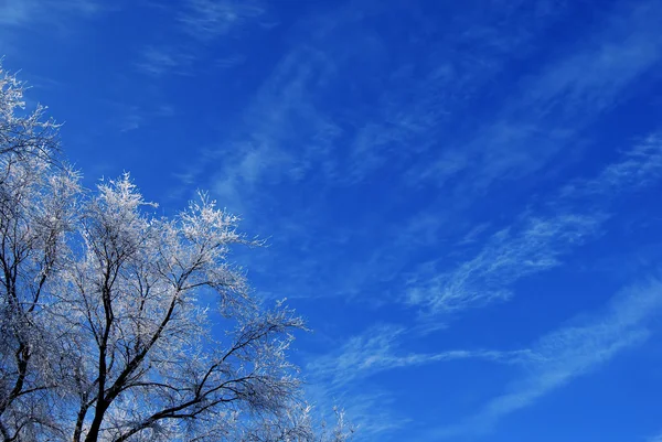 Зимове небо — стокове фото