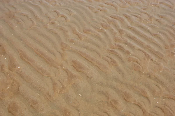 해변의 젖은 모래 스톡 이미지