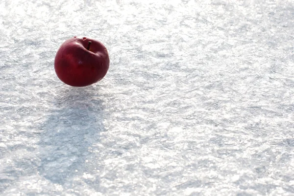 氷の背景に赤いリンゴ — ストック写真