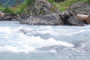 Dağ nehri