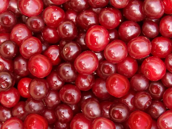 Cherry berries — Stock Photo, Image