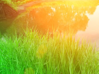 Lake ahşap günbatımı