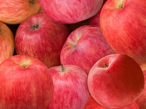 Fruit apples red — Stock Photo, Image