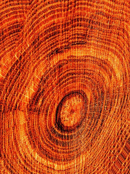 纹理树橡树 — 图库照片