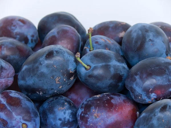 Fruit pruimen — Stockfoto