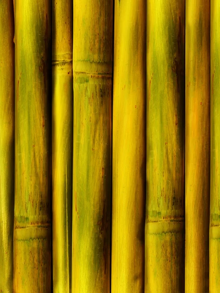 Gövde ağacı bambu — Stok fotoğraf
