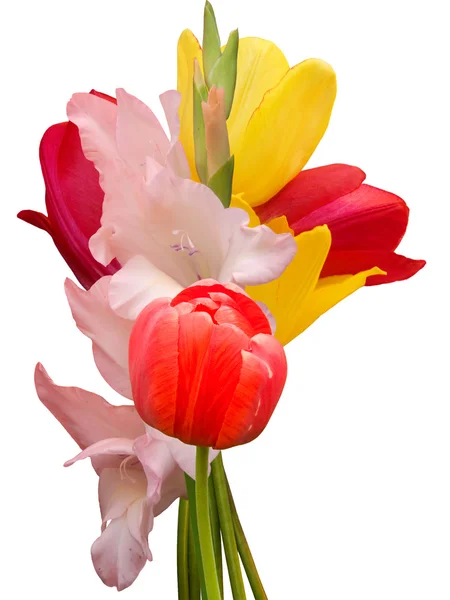 Blumen Tulpen Gladiolen Strauß — Stockfoto