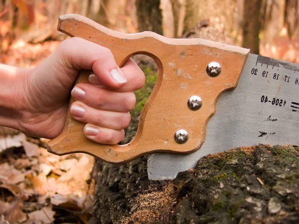 Hand tool saw — Stock Photo, Image