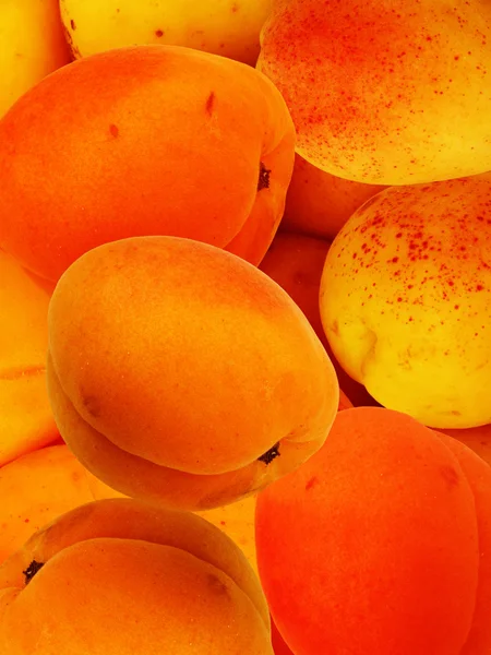 Ovoce meruňky — Stock fotografie