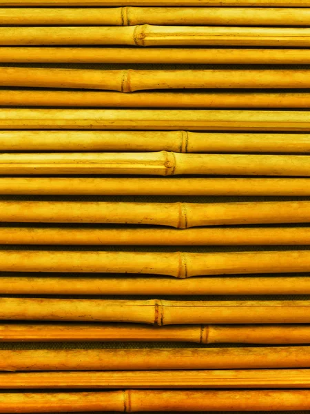 Bambus abstraktní pozadí — Stock fotografie