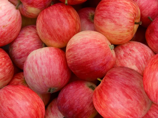 Ovoce jablka červená — Stock fotografie