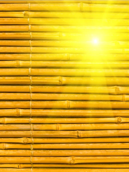 Bamboo abstract background — Stock Photo, Image