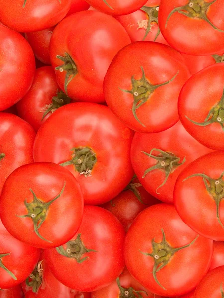 Zeleniny rajčata — Stock fotografie